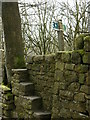 Unusual stile near Grindles farm