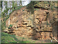 Old Sandstone Quarry near Tuckhill in Shropshire