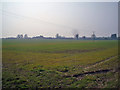 Towards Attleboro farm