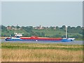 Alkborough from Faxfleet