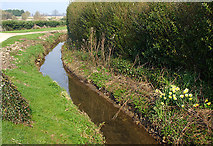SP2504 : The stream between Kencot and Broadwell by Martin Loader