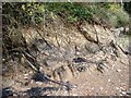 Old steel (mooring) cables, Percuil river bank