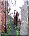 Footpath from the River Dee to Sandycroft