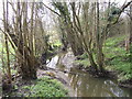 Saltmoors Ditch