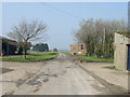 Farm road at St Nicholas Court