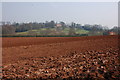 Farmland near Hillpool