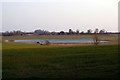 Pond on Margaret Woods Farm