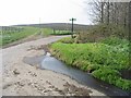 Footpath crossing Chapel Lane, Under The Wood