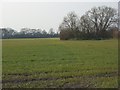 Farmland, East Challow