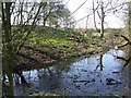 Castle Hill, Motte and Bailey