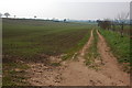 Farmland to the east of Broome