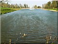 Ornamental lake, Lydiard Park, Swindon