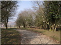 West Devon Way near Alston