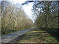 Road through Beaconhill Wood