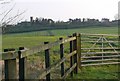 Looking across farmland towards Groby Church.