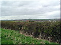 View across to Rectory Farm