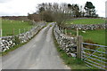 Llwybr i Hendy - Track to Hendy