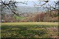 Sheep pasture with a view towards Dee valley