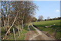 Track east towards Moel yr Henfaes