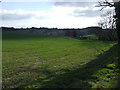 Looking towards Lilley Bottom Road