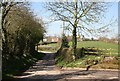 Lane outside Tunstall Hall