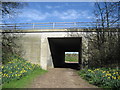 Bridleway under the A168