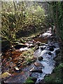 Withens Clough, Cragg Vale