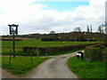 Ramsden Farm, Ebony