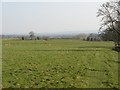 Farmland, Lucton