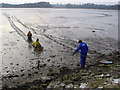 Coastguard mud rescue exercise in Holes Bay