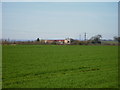 Cropped field looking towards West Farm in Habton Parish