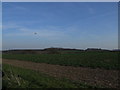 Across the fields from Botanybay Plantation