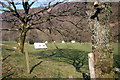 Campsite on the banks of the Afon Tywi