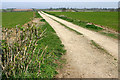 Track to Magpie Farm