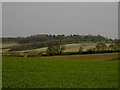 Looking East from Warden Hill triangulation point