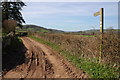 The Herefordshire Trail at Snodhill