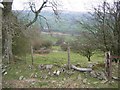 Pentre Farm and Bachawy Valley