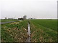 Roadside drain at Digby Fen