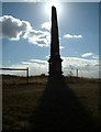 SO9281 : Monument on Wychbury Hill by Craig Lees