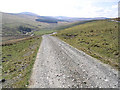 The road to Lymiecleuch Farm