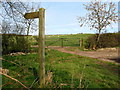 Public Footpath to Causey Park Bridge