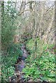 Stream in East Hatch