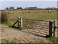 Fields at Needs Ore, Beaulieu Estate