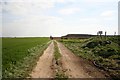 Farm track near Horsington