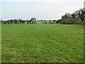 Farmland, Middle Wyke, near Hurstbourne Priors, Hants