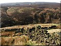 Looking across South Dean Beck