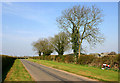 Road near Barton Hartshorn