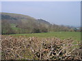 SO0189 : Tir Amaethyddol ger Llandinam / Farmland near Llandinam by Ian Medcalf