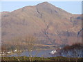 Ardgour from Inchree