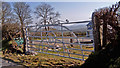 Decorative gate near Legananny Dolmen